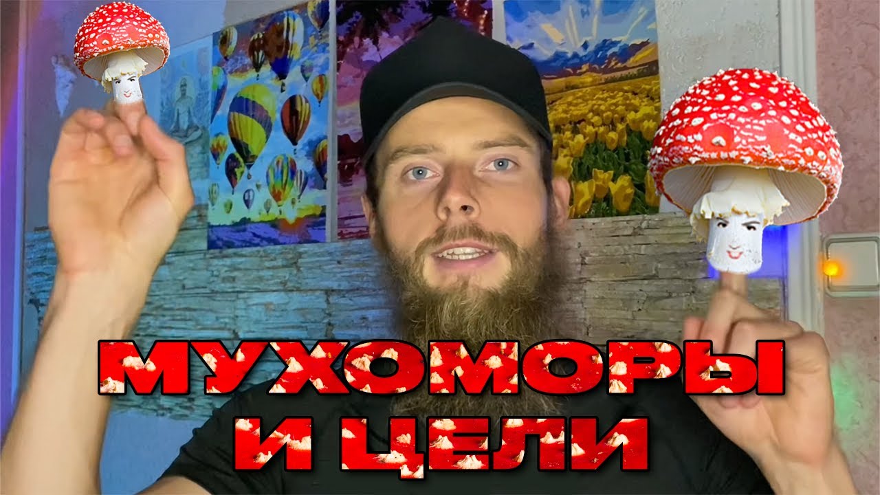 🍄 МИКРОДОЗИНГ МУХОМОРА | Как улучшить настрой и достигать своих целей ...