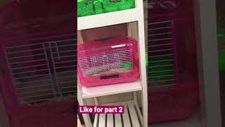 Cleaning My Hamsters Cages Like For Part 2