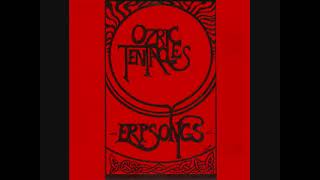 Ozric Tentacles   Tidal Otherness m