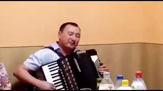 Кыргызча аккордеон мыкты ыр