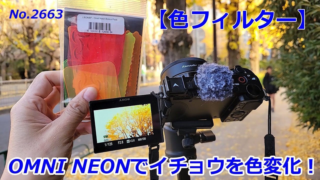 PDP フォトンのダイヤモンドフォトンケット、ボレロ、BSファインネック3点 Color Filter] Coloring Ginkgo Trees with the Lensbaby OMNI Neon