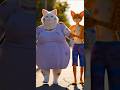 Who neglected the fat cat for clothes?😓😓😭#facts #ytshorts #shorts