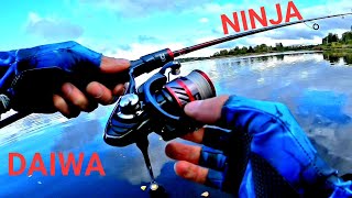 Бюджетный спиннинговый комплект от Daiwa Ninja.Рыбалка в Ленинградской области#fishing #daiwa#окунь