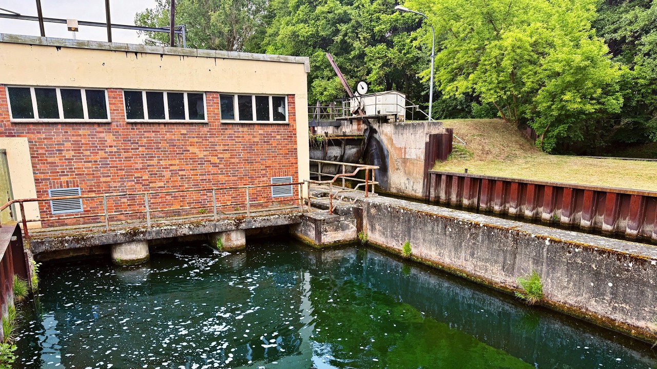 Was lebt in dieser verlassenen Schleuse mitten im Wald!?