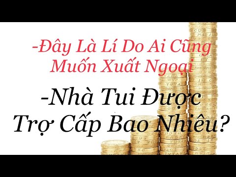 Video: Tiền boa ở Ireland: Ai, Khi nào và Bao nhiêu