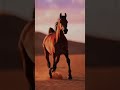 Animal fact short video #animals #animalfacts #facts #wildlifeshorts #natureshorts #shorts