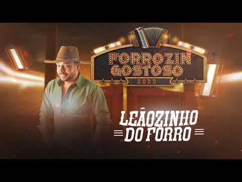 LEÃOZINHO DO FORRÓ- FORROZIN GOSTOSO