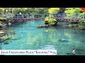 Japan unexplored place Koi pond(Tsuno, kochi)