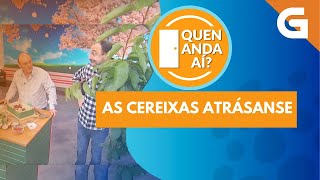 🍒 As CEREIXAS foron un PIAR na ECONOMÍA de BELESAR