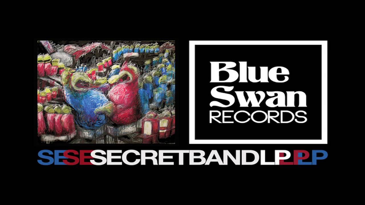 Secret Band - Wasted Youth