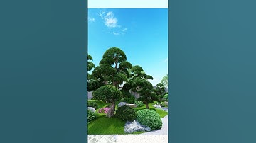 Áp dụng Thiết kế 3D cảnh quan Sân Vườn để giảm chi phí phát sinh | Triệu Điền