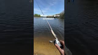 Mine is that Zman SWAG LT #shorts #youtubeshorts #subscribe #fishing #ytshorts #fyp