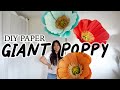 Giant paper poppy flower stand diy how to make for backdrop