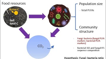 DSP4SH - Quantifying Soil Microbial Structures and Functions for Soil Health Assessments