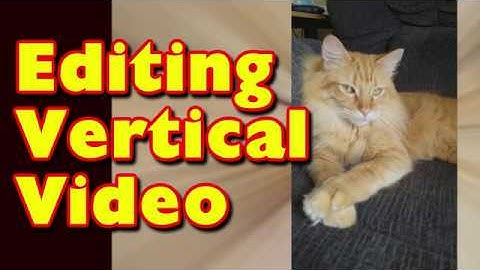 Editing Vertical Video with Vegas Movie Studio