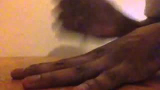 The Knife Game Song Fail