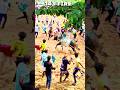 😲அடேங்கப்பா🥵இது 🥵காளையா👿இல்ல ⚡ஜெட் விமானமா?.#jallikattu #kangeyam #bull #trending #cow #eruthukattu