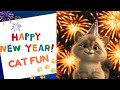 Happy New Year from Your Feline Friends!