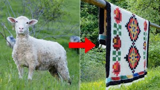 Blanket Made From Sheep. How Do They Do It Manually?