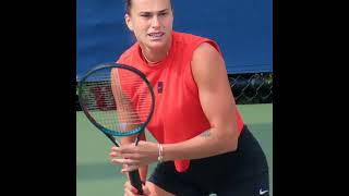 Carnet du jour 12 à l'US Open - Des demi-finales époustouflantes