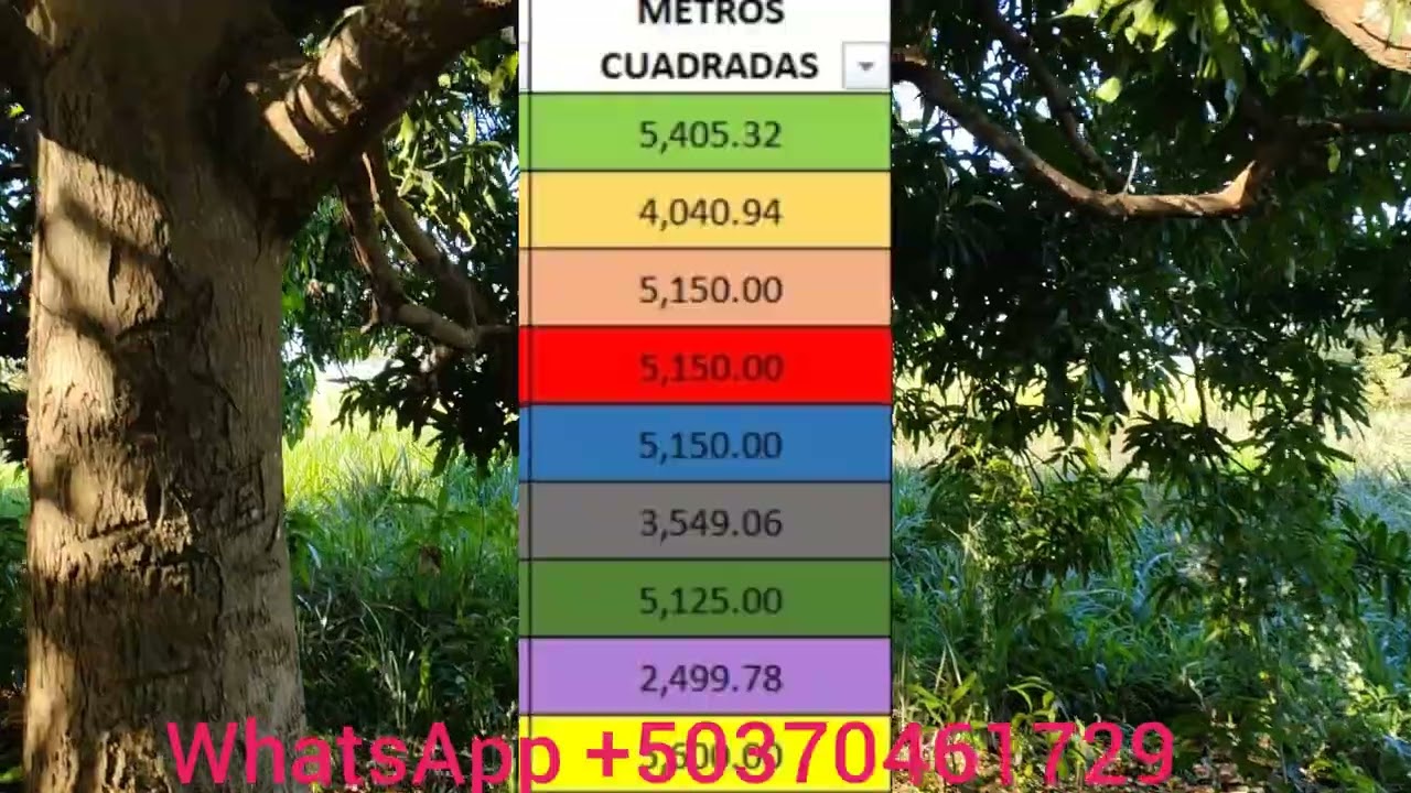 en venta 9 parcelas en el salamo del municipio de Acajutla 