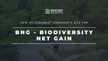 How an Ecologist Assesses a Site for BNG (Biodiversity Net Gain)