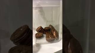 Olha O Super Recheio Do Meu Biscoito De Morango