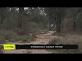 PETROBRAS PARAGUAY RALLY  - TCR 2026 - SEGUNDA ETAPA