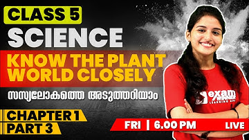 Class 5 Basic Science | Chapter 1 Part 3 | Know the Plant World Closely | സസ്യലോകത്തെ അടുത്തറിയാം