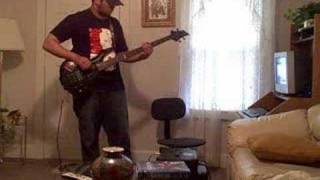 The patriot virus bass cover