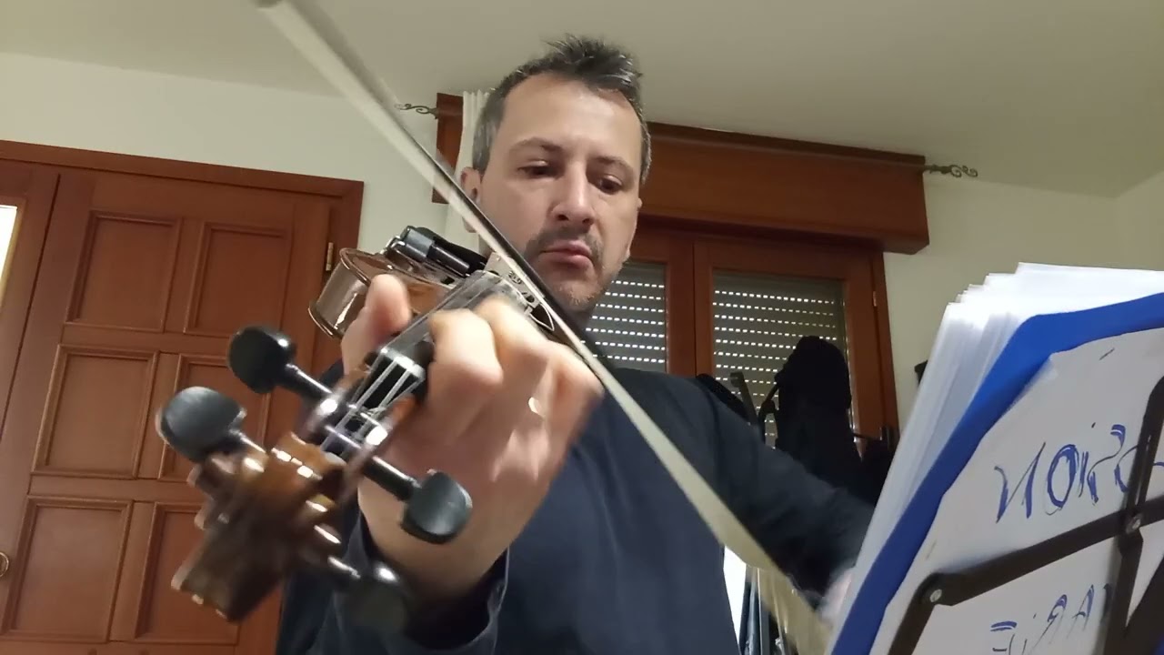 Farewell To Milltown reel The Reel Of Rio reel The Holly Bush reel