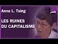 Anna L. Tsing : les ruines du capitalisme