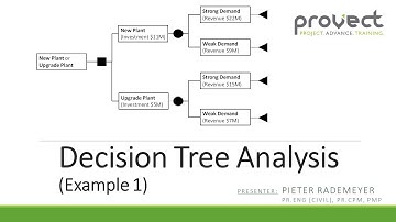 Example 1: Decision Tree Analysis