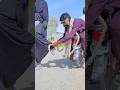 Allah Ki Madad Viral Trending متابعه مصر ايقنت اغاني Viralshorts Asia India Unfrezz Allah Ki Madad Viral Trending متابعه مصر ايقنت اغاني Viralshorts Asia India Unfrezz