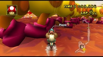 [mkwii TAS] Maple Treeway 02:05.739 no-glitch