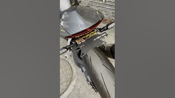 Magnetic TailTidy | Bike Ku Beast Look Uh