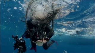 Plastic Free Campus - Dr. Sylvia Earle - Mission Blue