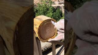 استخراج العسل طبيعي من خلية النحل