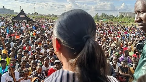 DESTINY CONNECTOR (VISUALIZER)