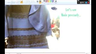 French Thug Life - What Color Is This Dress? (Solved With.. Paint)