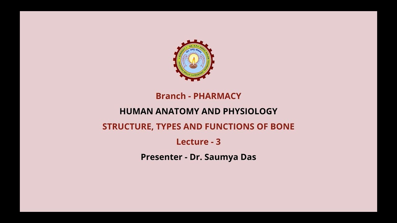 Human Anatomy & Physiology Structure, | Types and Functions of Bone | AKTU Digital Education