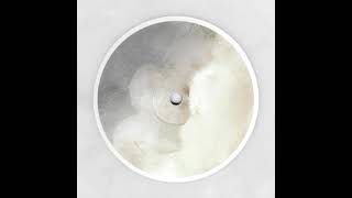 Primal Code - Morgana