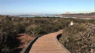 Rouvaishyana in Morro Bay invites you to Discover Your Better Nature