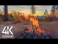 8 hours calming sounds of crackling campfire  4k peaceful atmosphere of campfire at sunrise