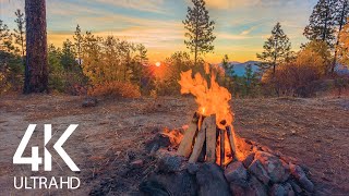 8 HOURS Calming Sounds of Crackling Campfire - 4K Peaceful Atmosphere of Campfire at Sunrise