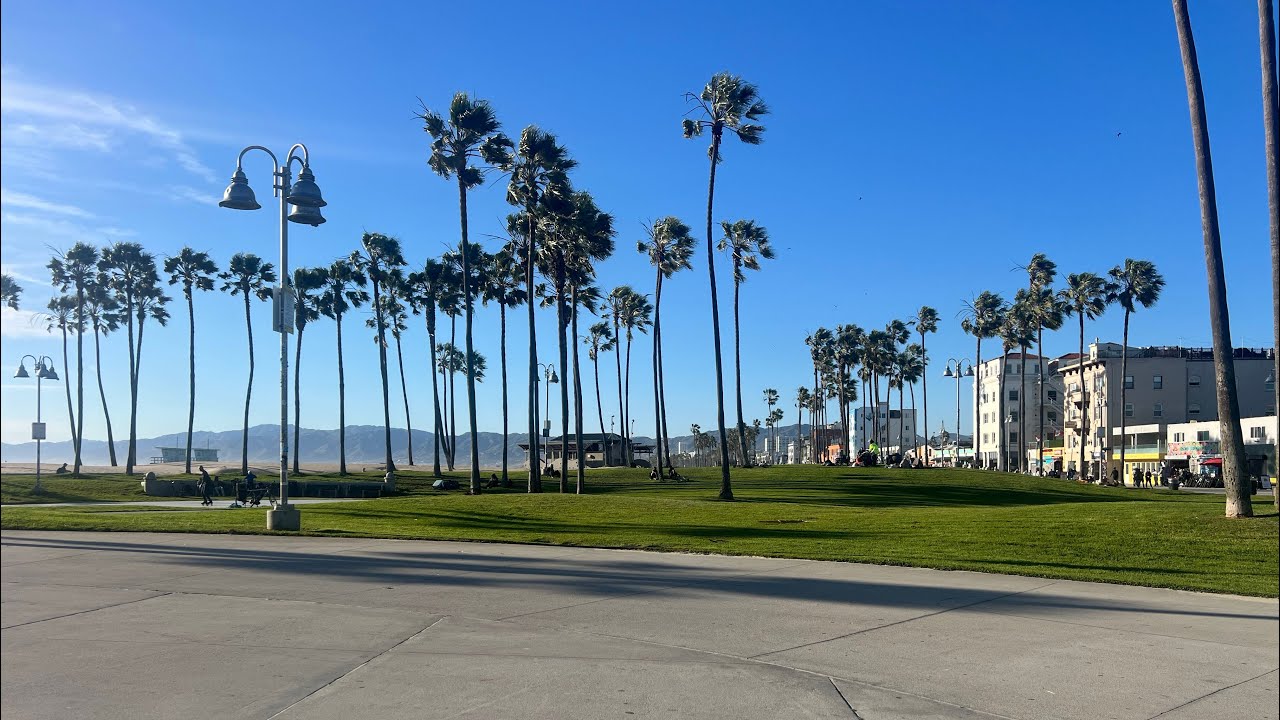 تعمل ايه وتروح لمين لو إتظلمت في شغلك ورفدوك ومافيش محامي عايز يدافع عنك ، ومواضيع أخري 🇺🇸🇺🇸