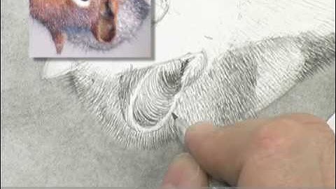 Draw with Confidence  From Basic to Brilliant with David Kitler