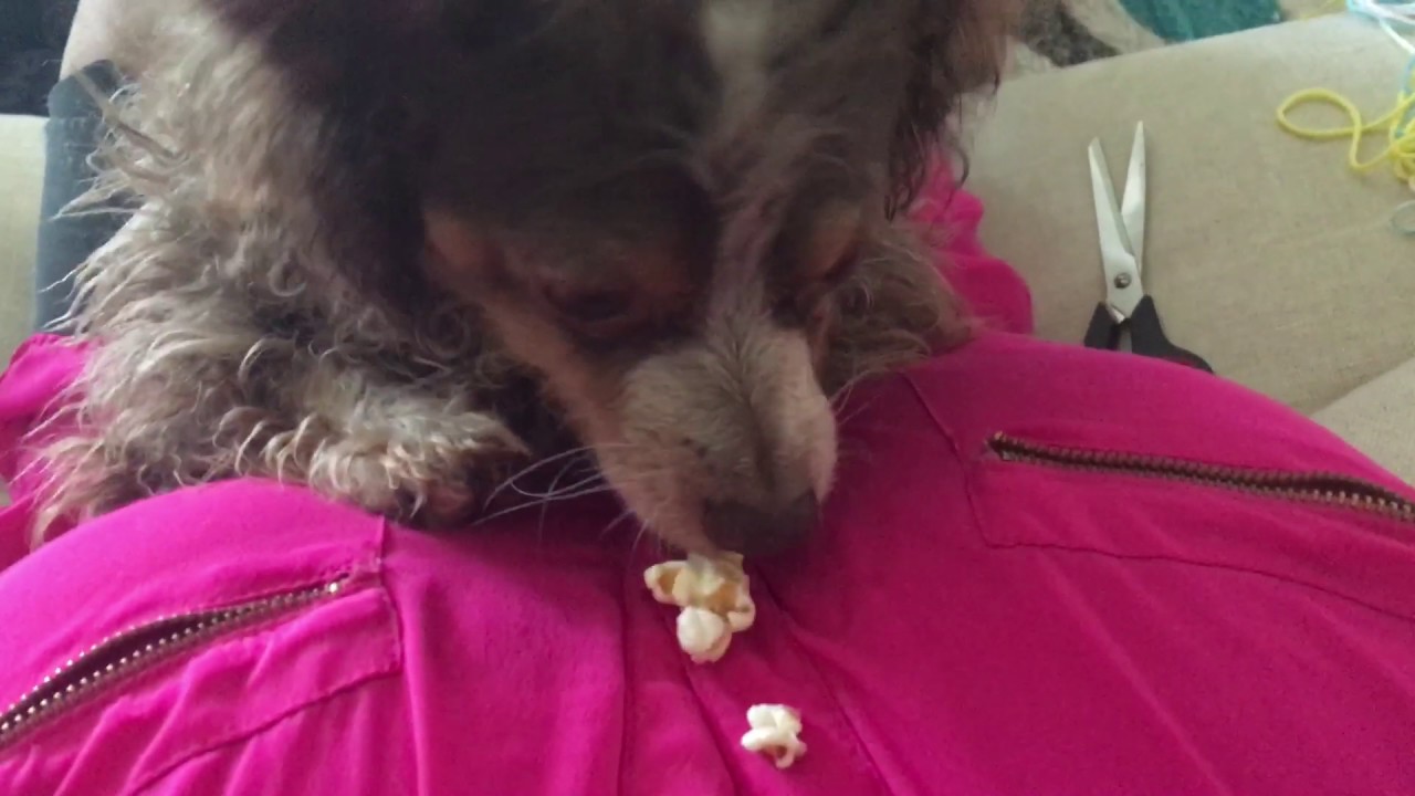 Eating popcorn YouTube