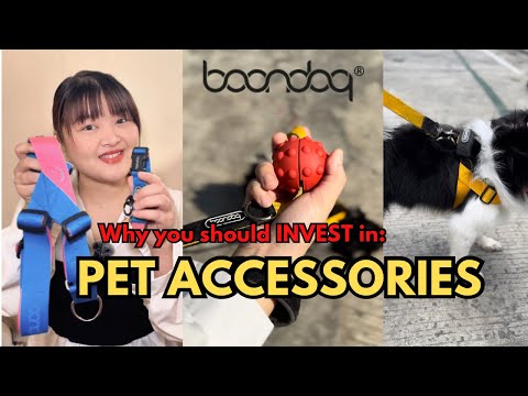 Why you should invest in quality Pet Accessories ft. BOONDOG