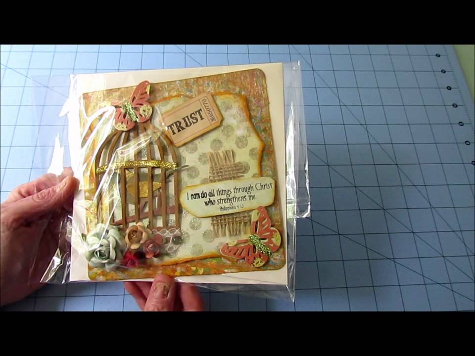 RAKS~Cards for cancer and a goodie from Scrapstress